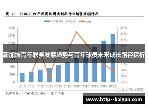 新加坡青年联赛发展趋势与青年球员未来成长路径探析